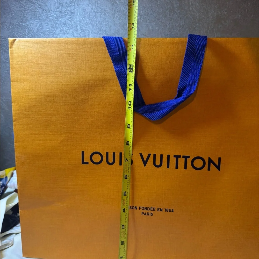 Louis Vuitton gift bag